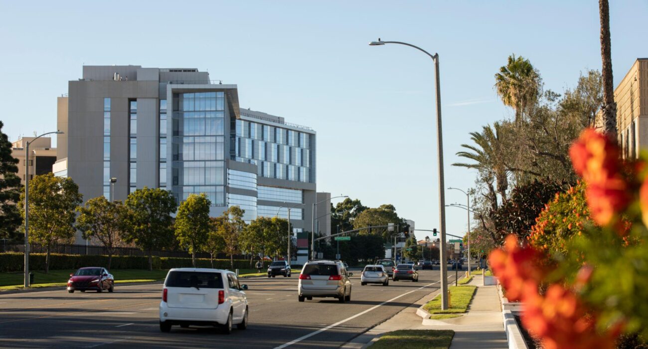 Torrance business street with office buildings representing managed IT services in Torrance