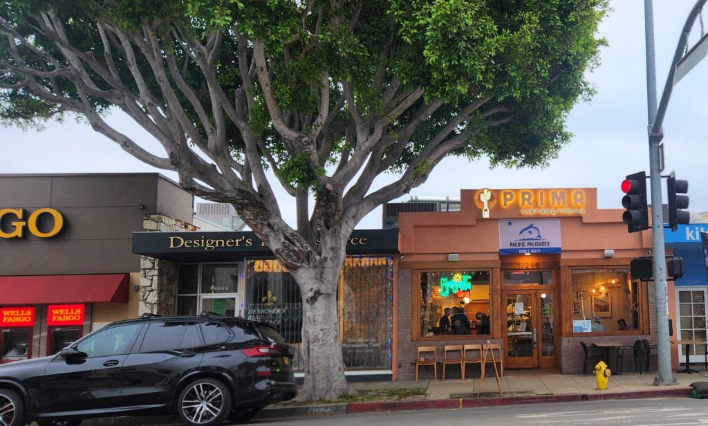 Pacific Palisades storefronts and local businesses that rely on managed IT services in Pacific Palisades CA